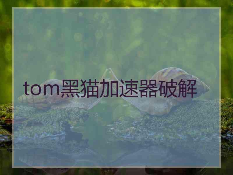 tom黑猫加速器破解