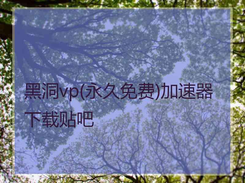 黑洞vp(永久免费)加速器下载贴吧