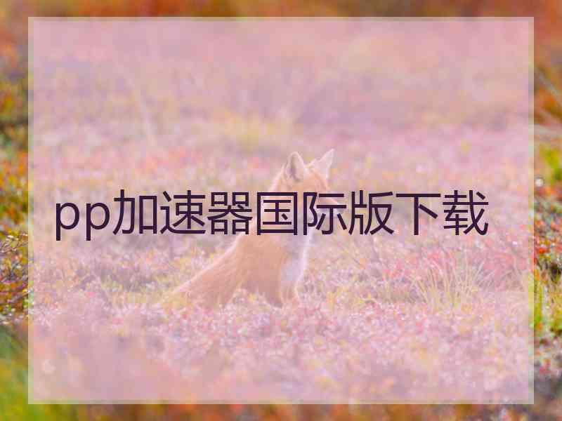 pp加速器国际版下载