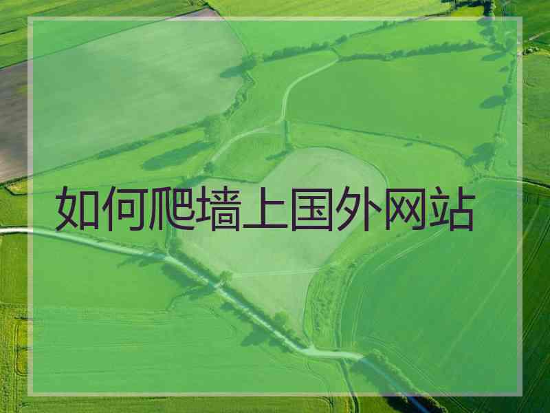 如何爬墙上国外网站