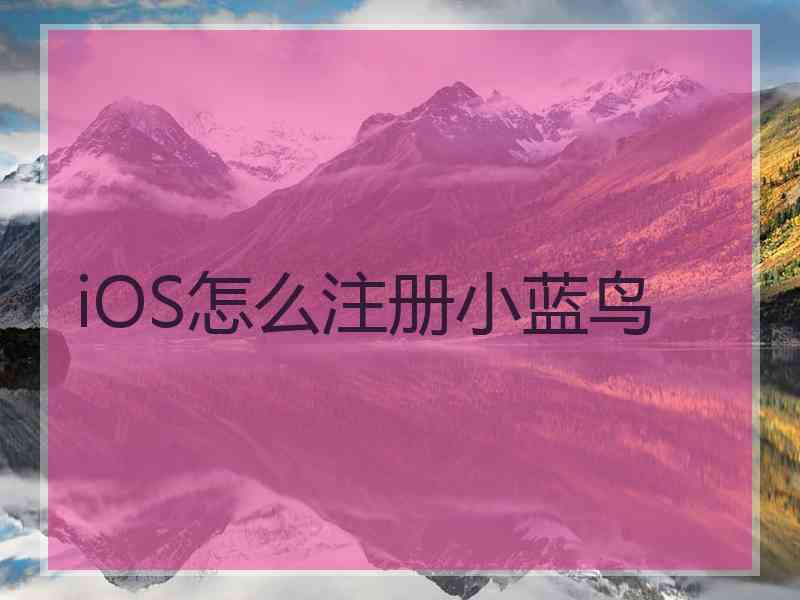 iOS怎么注册小蓝鸟