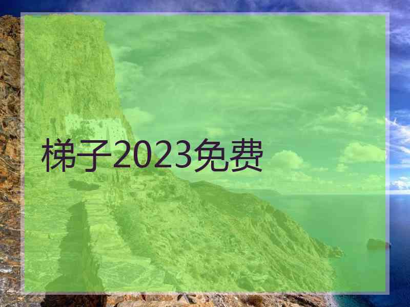 梯子2023免费