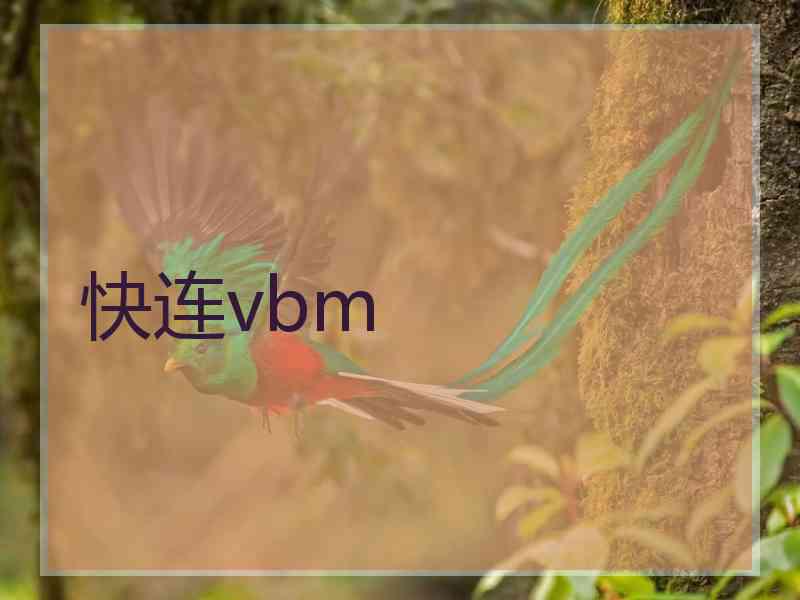 快连vbm