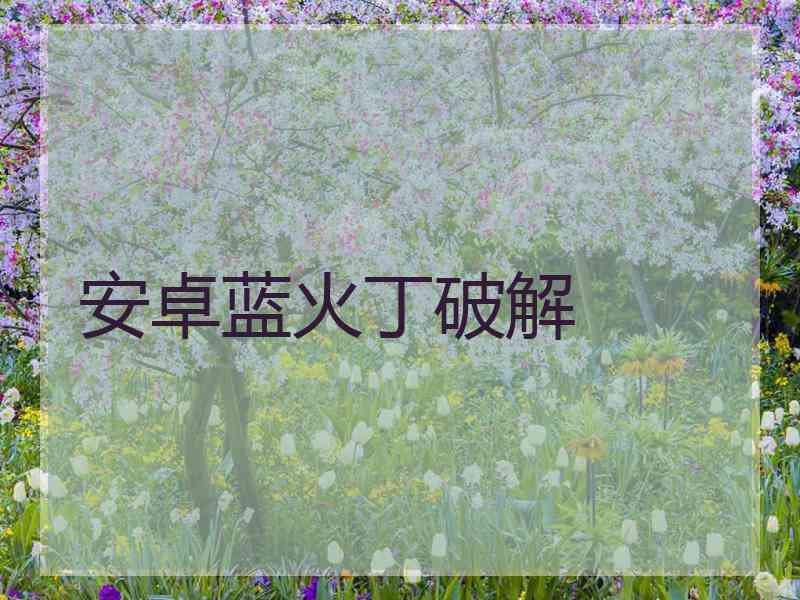 安卓蓝火丁破解