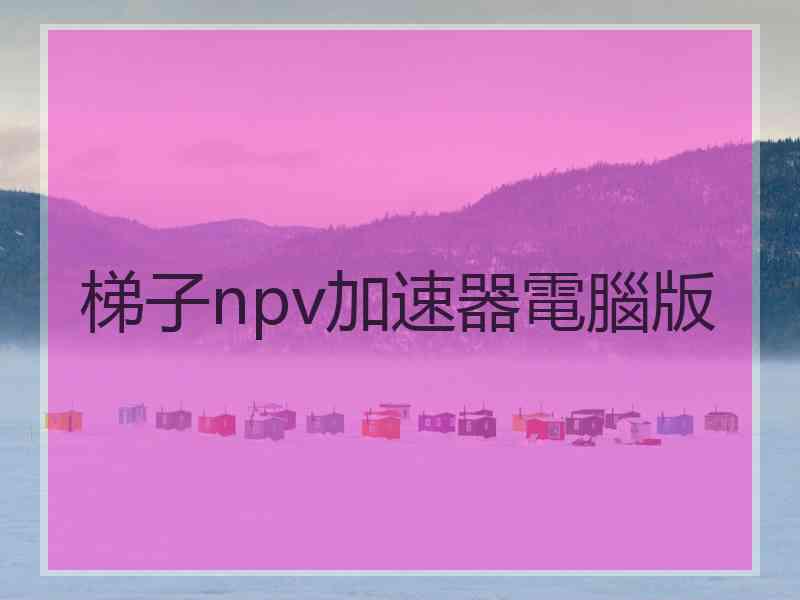 梯子npv加速器電腦版