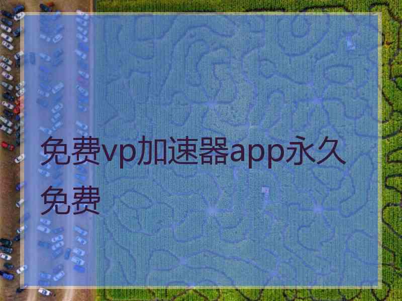 免费vp加速器app永久免费
