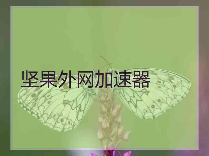 坚果外网加速器