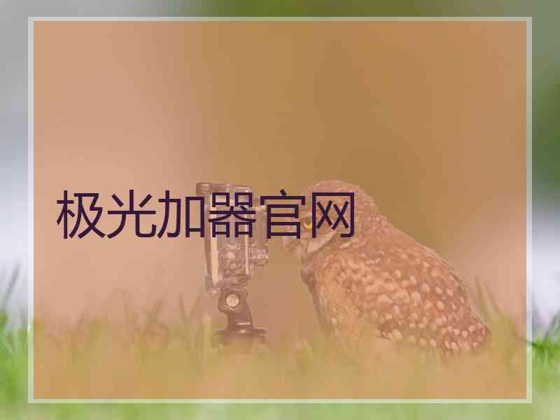 极光加器官网