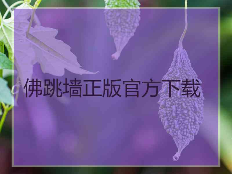 佛跳墙正版官方下载