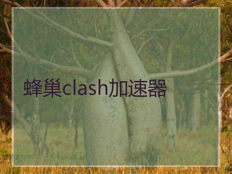 蜂巢clash加速器