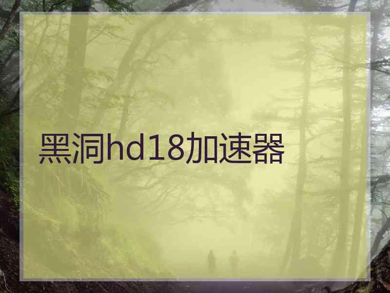 黑洞hd18加速器