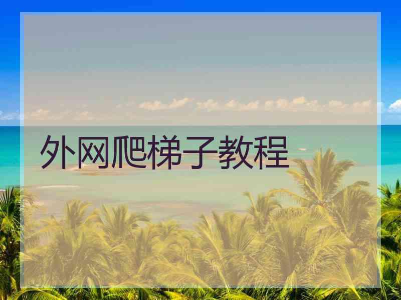外网爬梯子教程