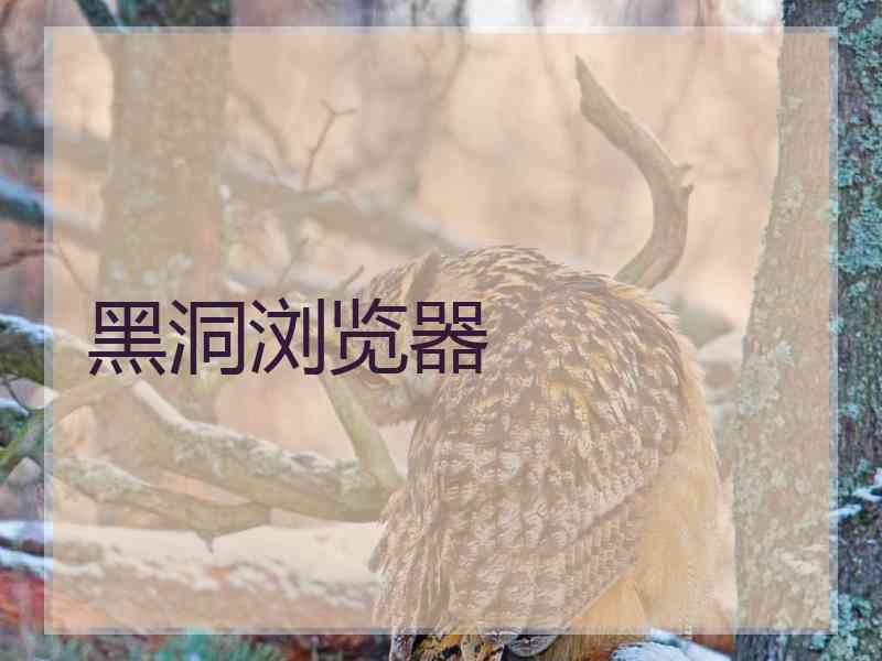 黑洞浏览器