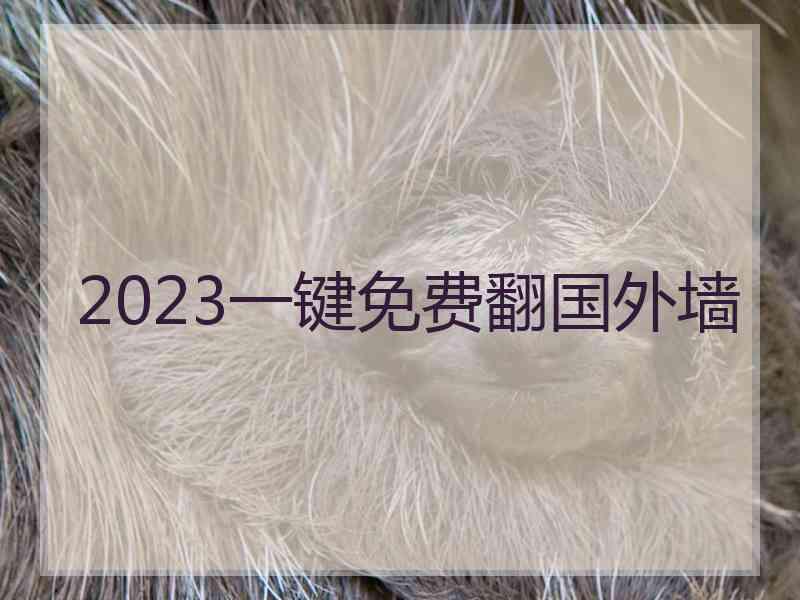 2023一键免费翻国外墙