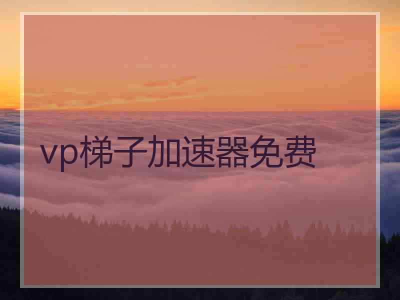 vp梯子加速器免费