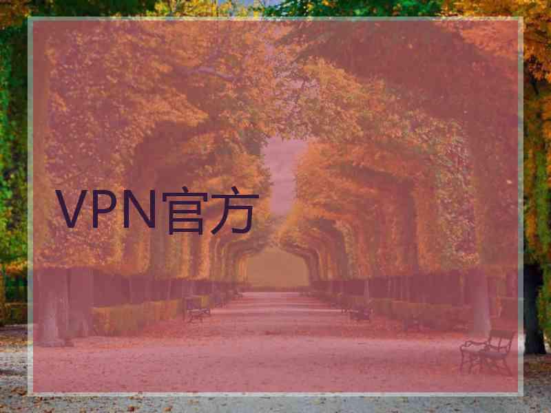 VPN官方