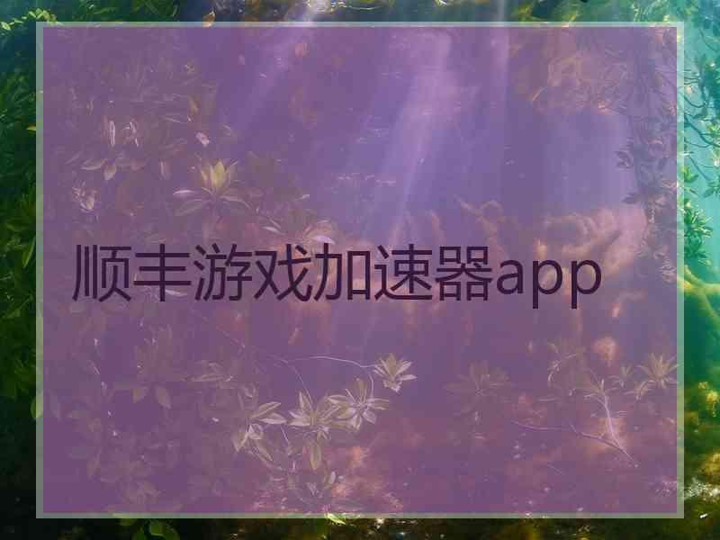 顺丰游戏加速器app