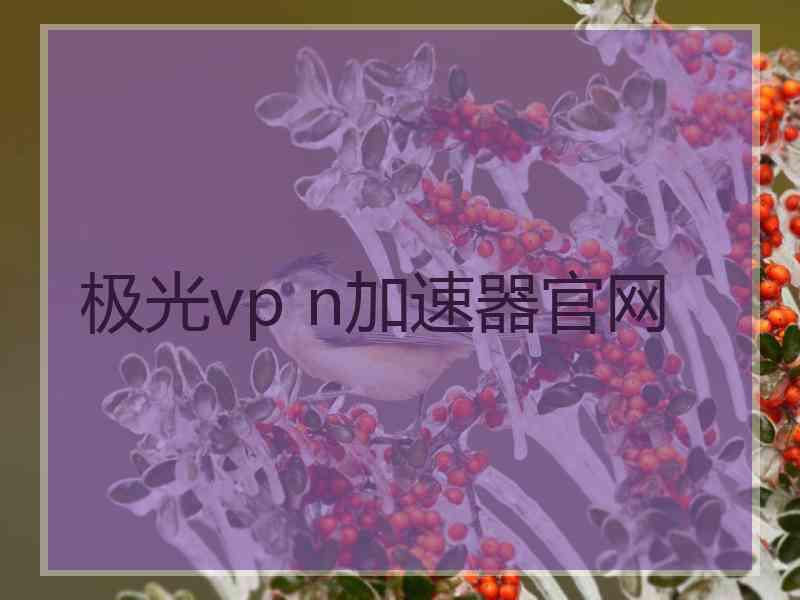 极光vp n加速器官网