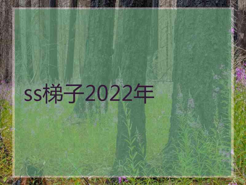 ss梯子2022年