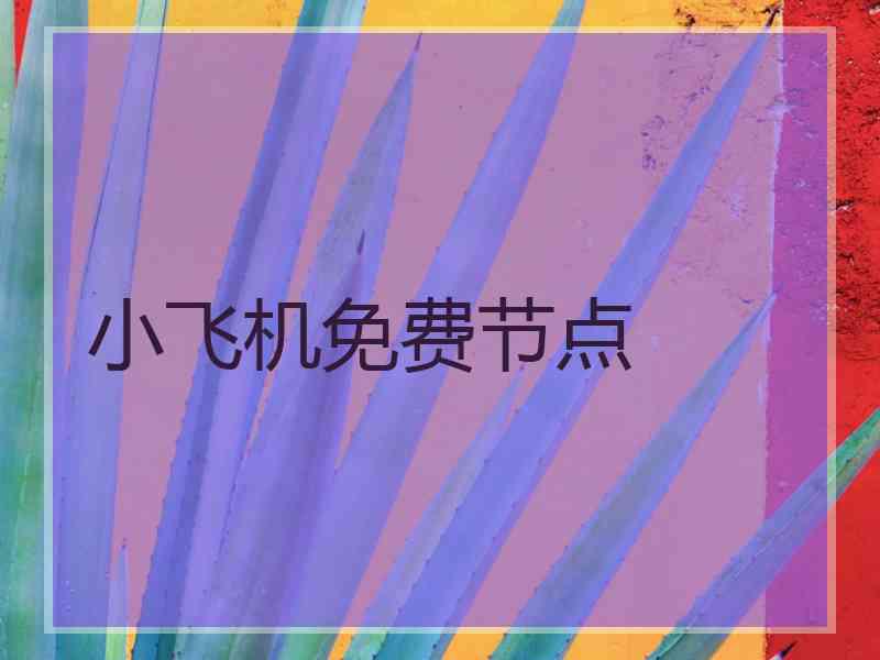 小飞机免费节点