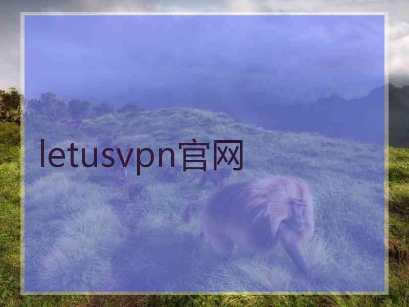 letusvpn官网