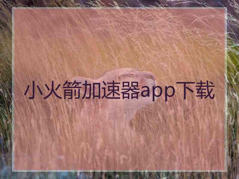 小火箭加速器app下载