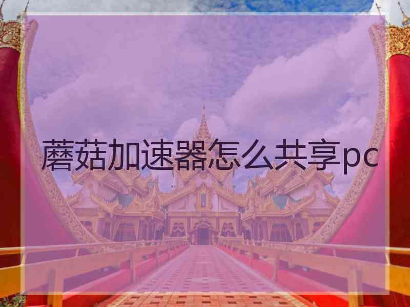 蘑菇加速器怎么共享pc