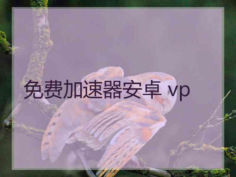 免费加速器安卓 vp