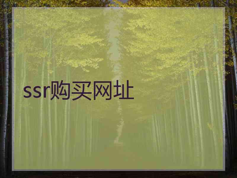 ssr购买网址