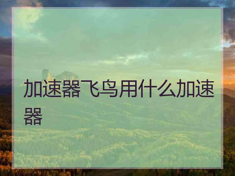 加速器飞鸟用什么加速器