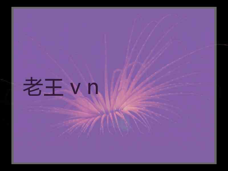 老王 v n
