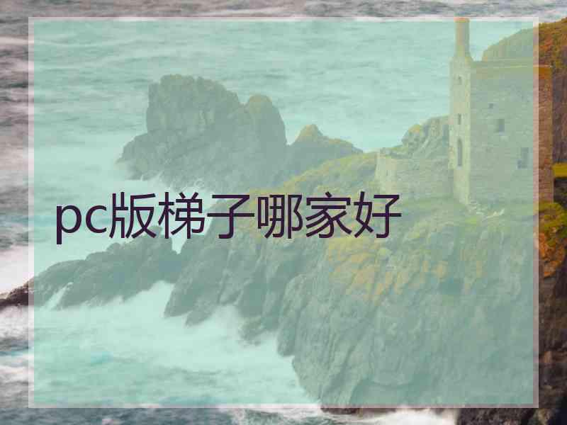 pc版梯子哪家好