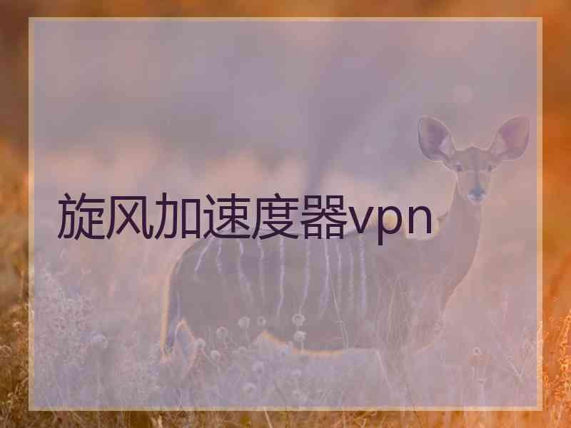 旋风加速度器vpn