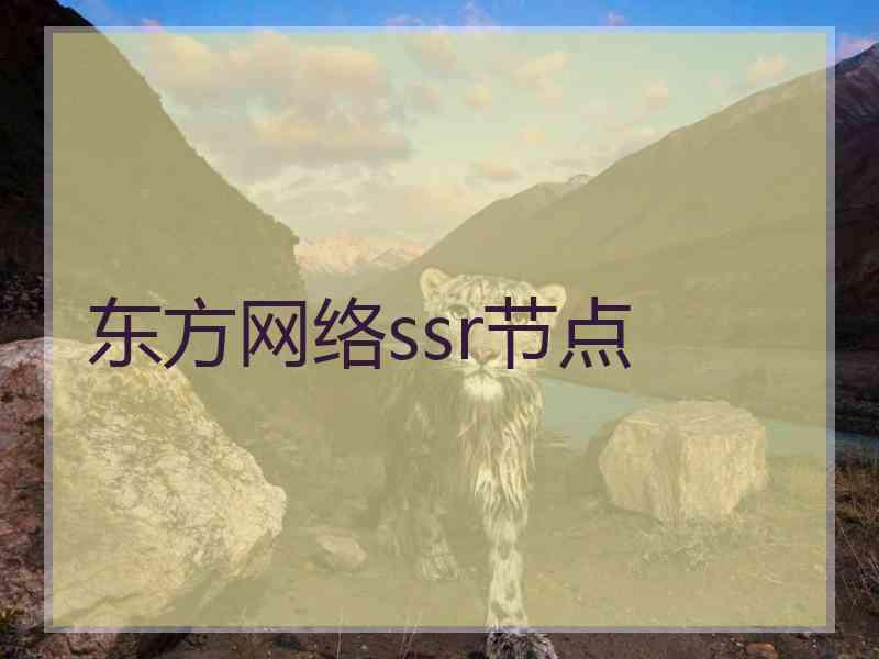 东方网络ssr节点