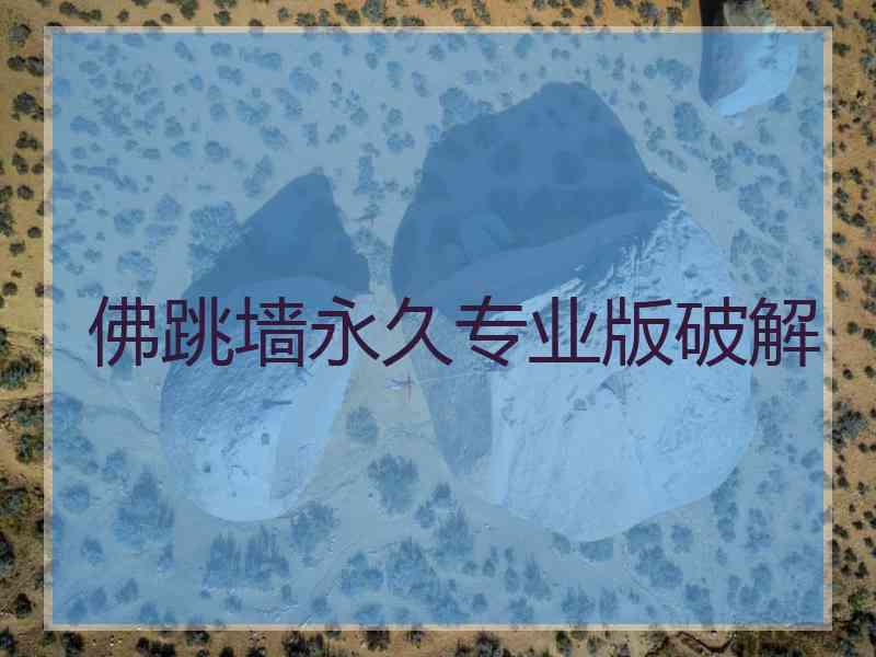 佛跳墙永久专业版破解