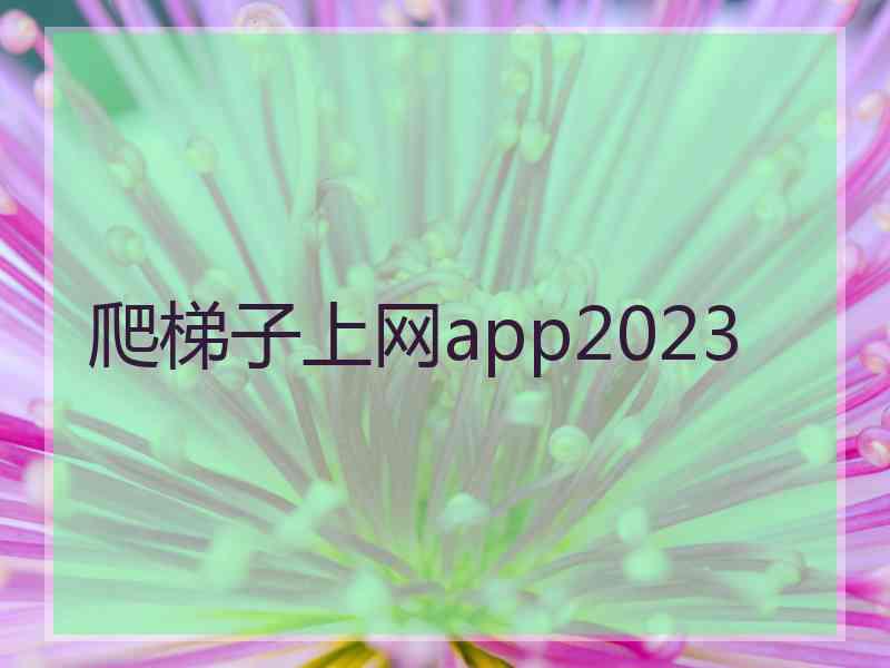 爬梯子上网app2023