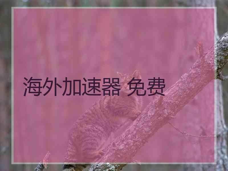海外加速器 免费