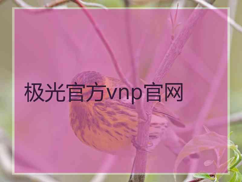 极光官方vnp官网