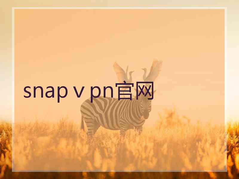 snapⅴpn官网