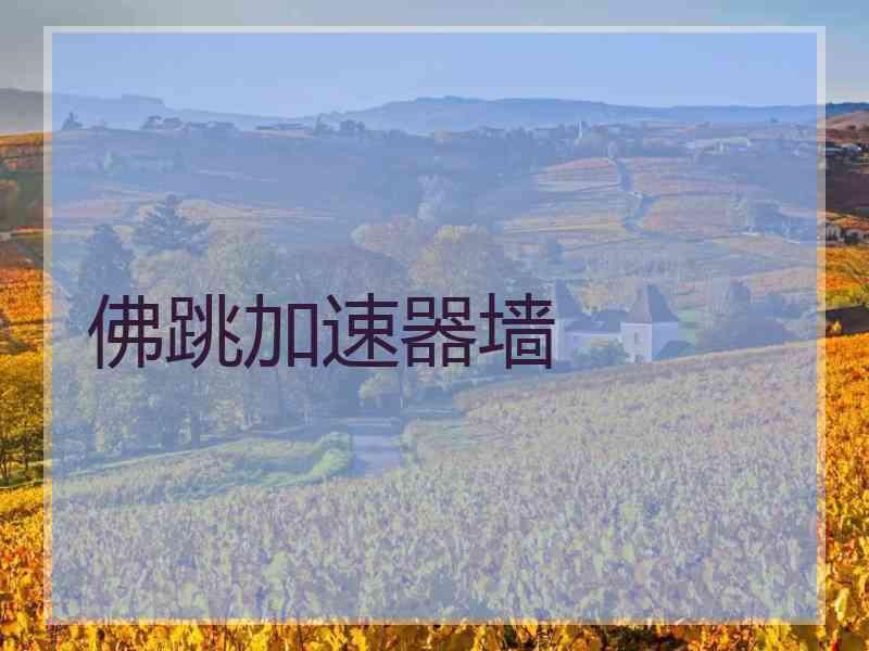 佛跳加速器墙