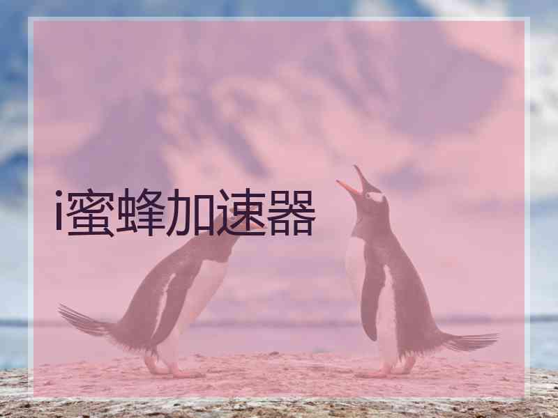 i蜜蜂加速器