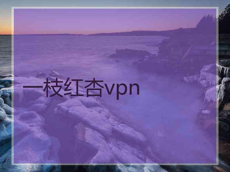一枝红杏vpn