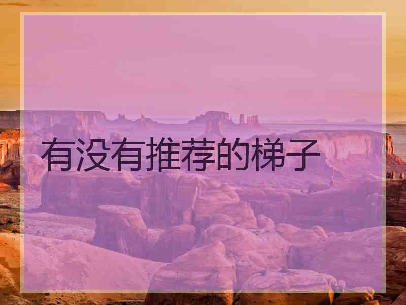 有没有推荐的梯子