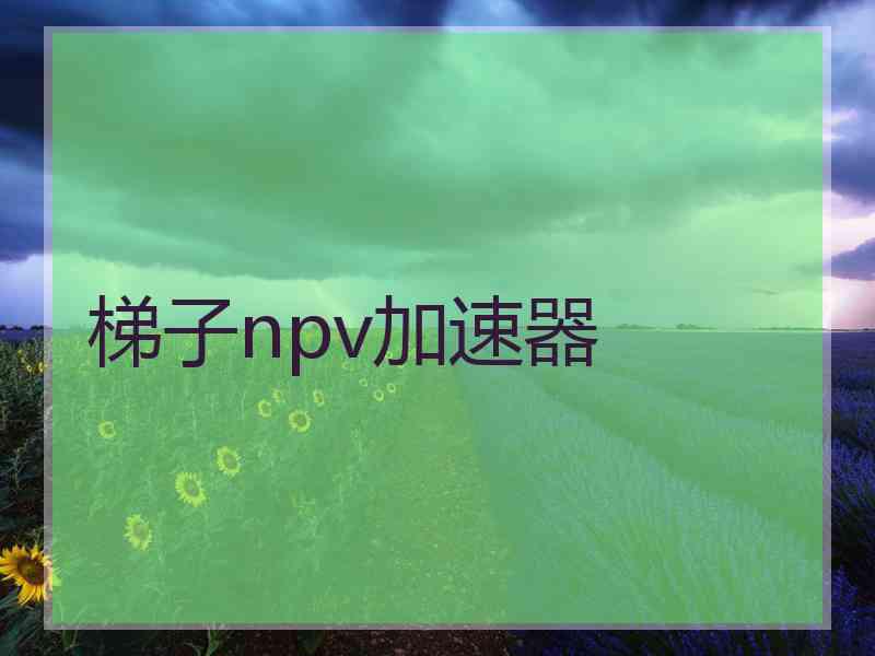 梯子npv加速器