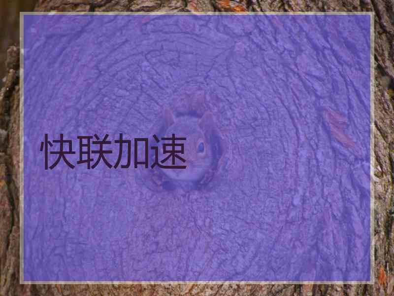 快联加速