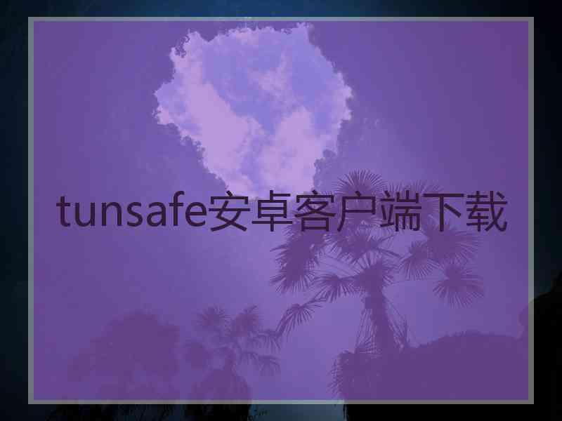 tunsafe安卓客户端下载