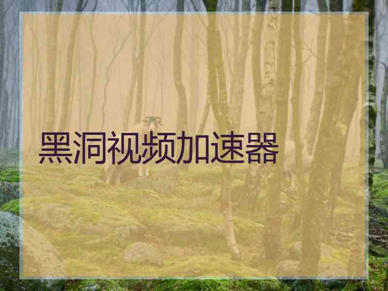 黑洞视频加速器