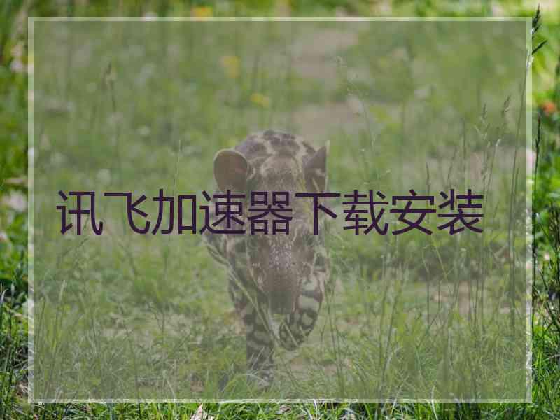 讯飞加速器下载安装