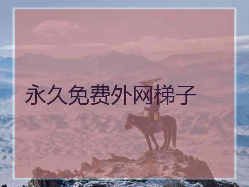 永久免费外网梯子