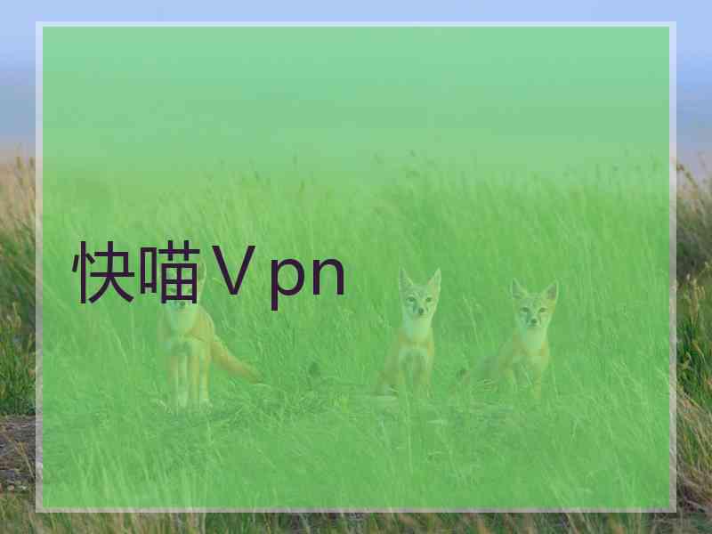 快喵Ⅴpn